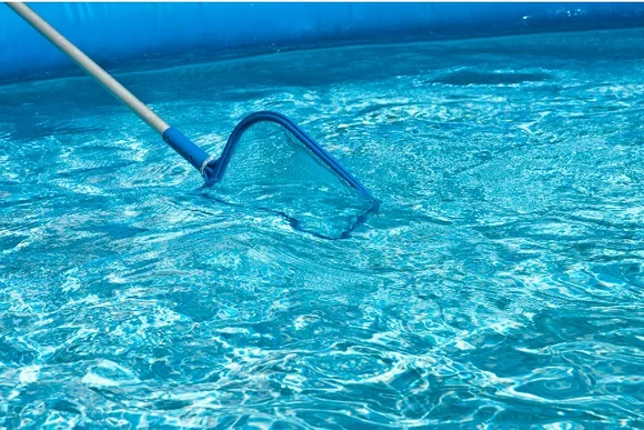 Kescher reinigt Pool